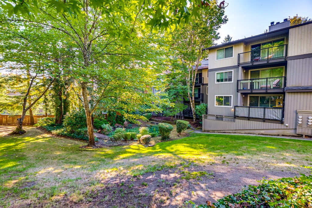 A tree in a yard in front of a building.