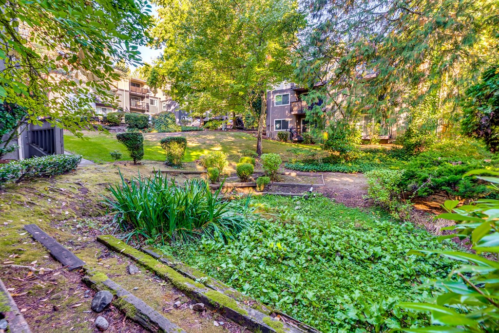 A garden with a wooden path and a house in the background.