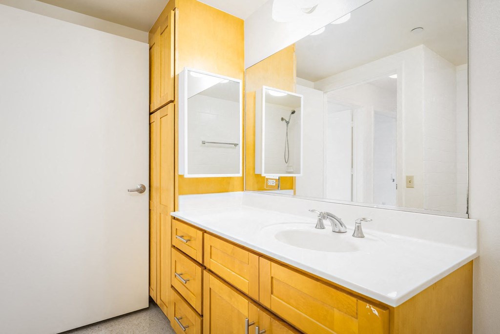 a bathroom with a sink and a mirror