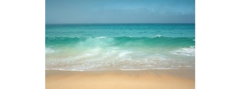 1 Bed, 1 Bath  E (ADA)