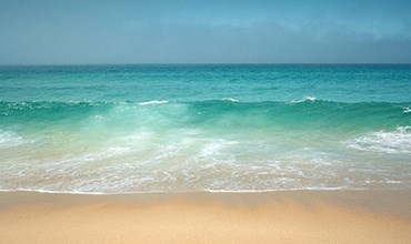 808 Hausten Street 1 Bed Apartment, Affordable for Rent - Photo Gallery 8