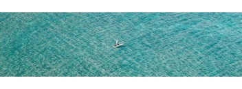 1 Bed, 1 Bath  C (ADA)