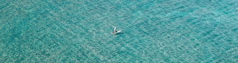 808 Hausten Street 1 Bed Apartment, Affordable for Rent - Photo Gallery 6