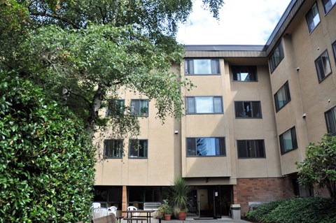 A building with a beige facade and a tree in front of it.