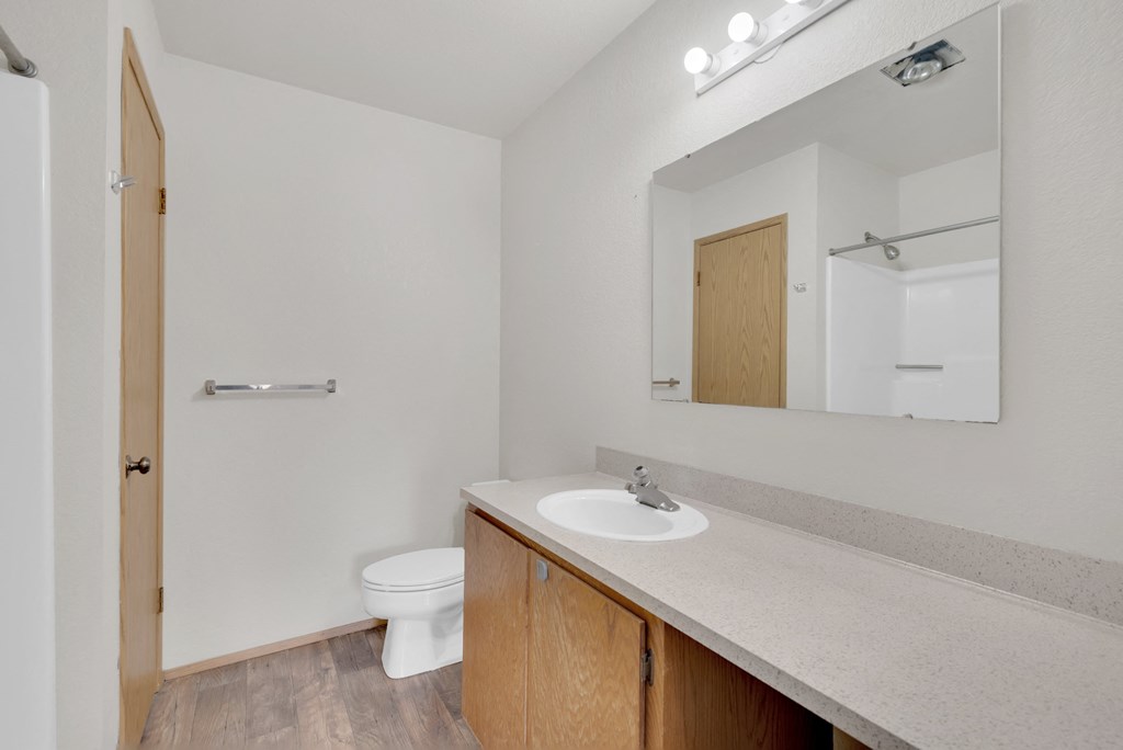 a bathroom with a sink and a toilet and a mirror