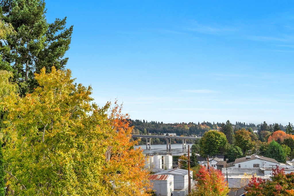 a view of a city with a river and a bridge