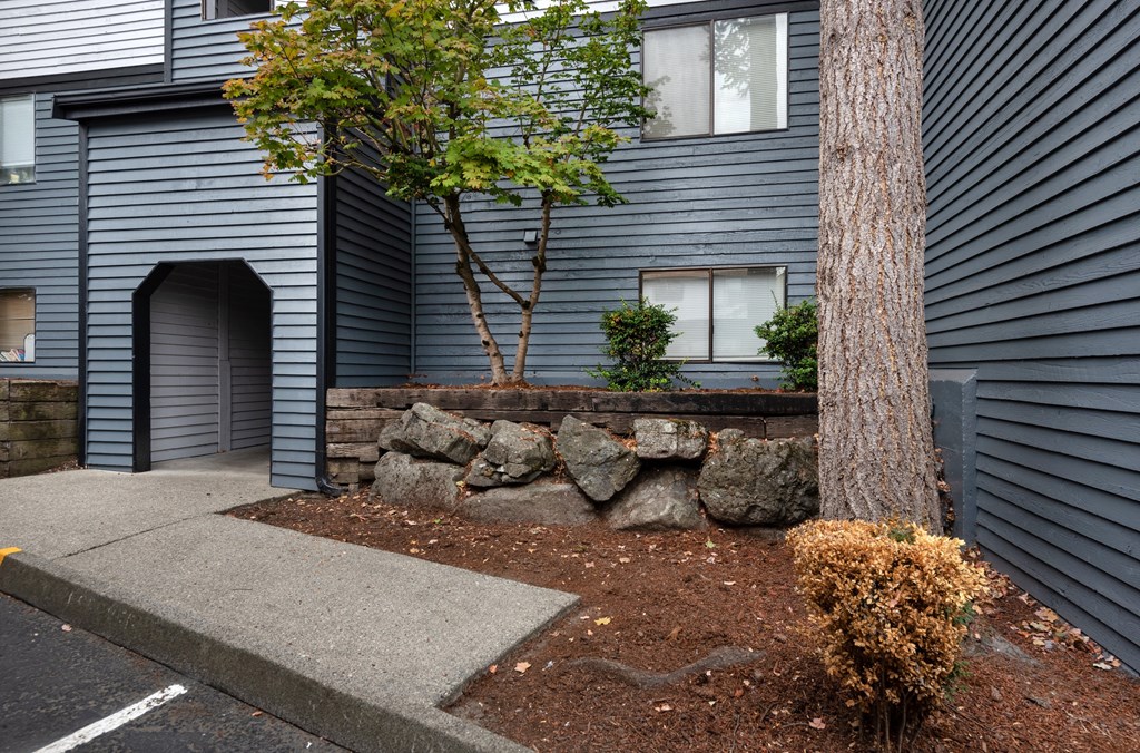 A tree is in front of a grey house.