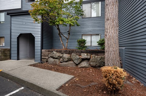 A tree is in front of a grey house.