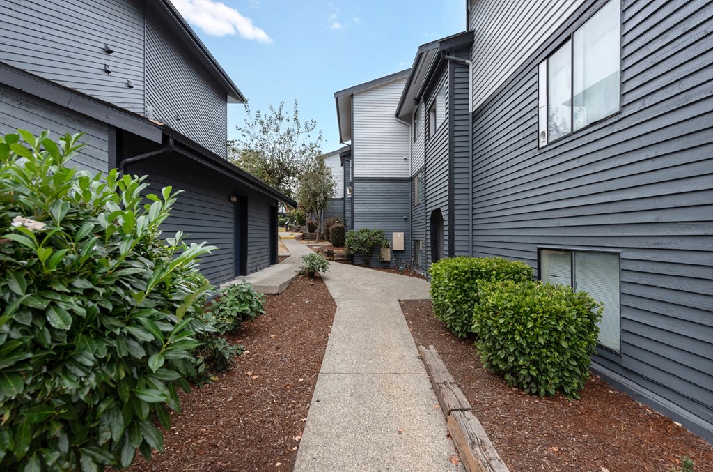 A concrete pathway leads between two buildings with green shrubbery on the sides.