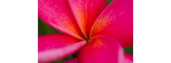 2 Bed, 2 Bath 60% B3