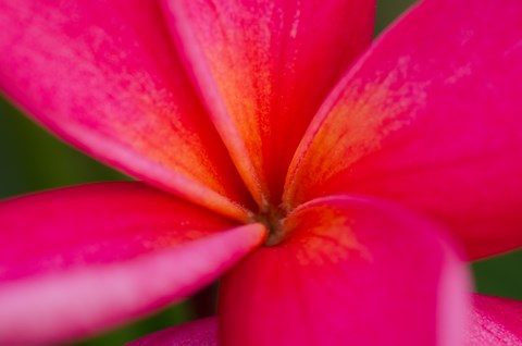 92-1088 Palahia Street 2-3 Beds Apartment, Affordable for Rent - Photo Gallery 7