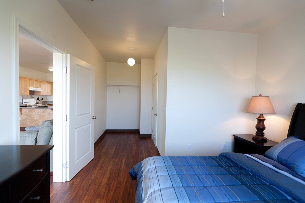 a bedroom with a bed and a dresser and a closet