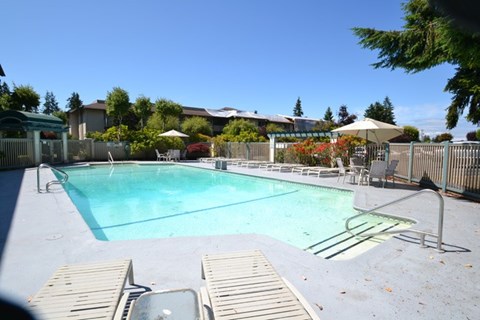 A swimming pool surrounded by a fence and trees.