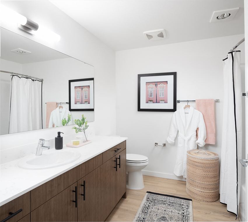 a bathroom with a sink and a shower and a toilet