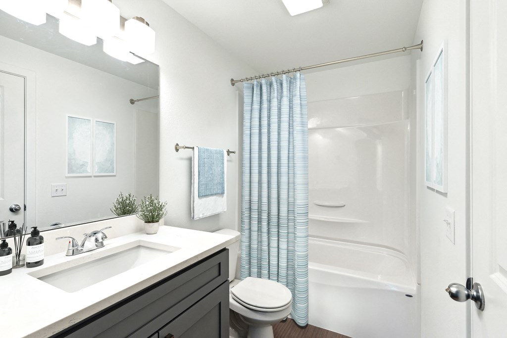 a bathroom with a shower and a sink and a mirror