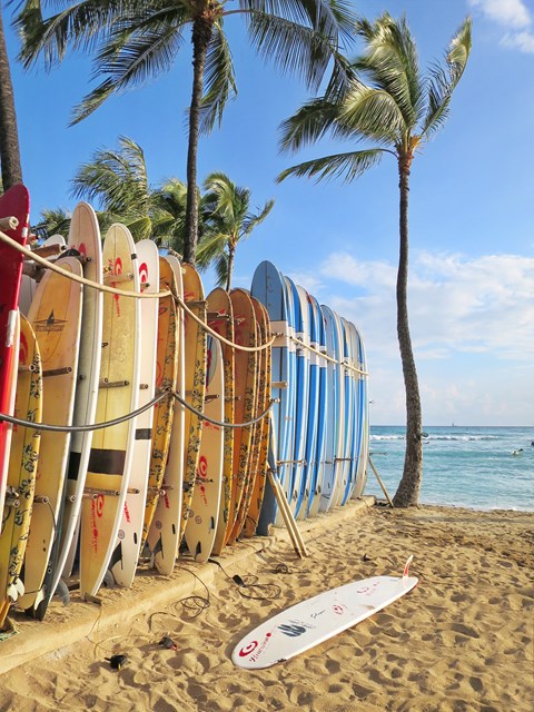 a rack of surfboards lined up on the beach
