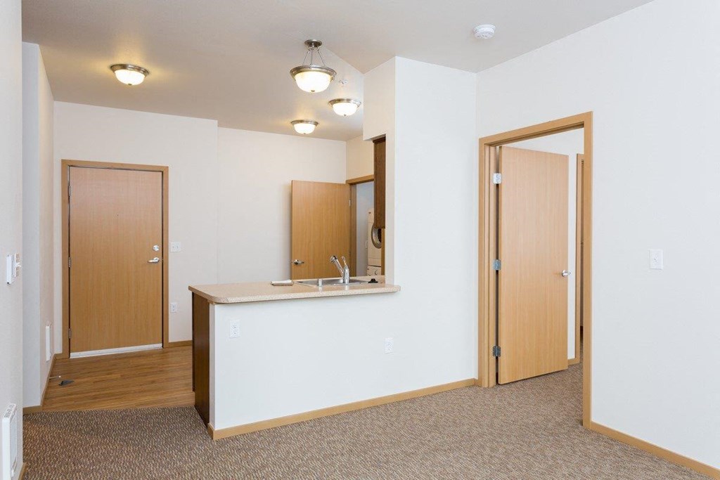 an empty living room with a sink and a mirror