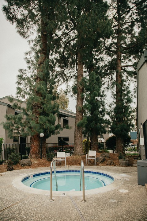 a pool with trees and a building in the background