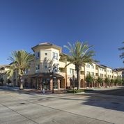 A building with a palm tree in front of it.