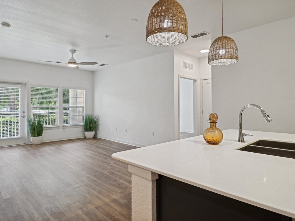 the preserve at ballantyne commons apartment living room and kitchen