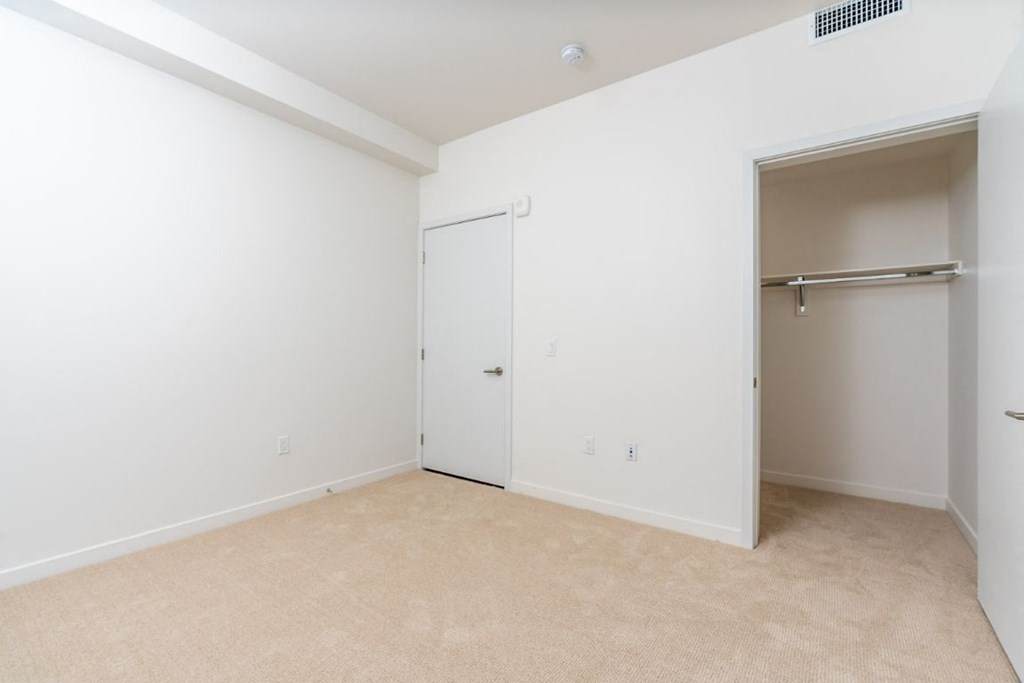 Plush Carpeting at Fedora Bliss LLC, Woodland Hills, CA