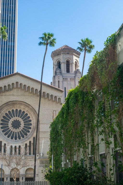 Neighborhood Community at Fedora Bliss LLC, Woodland Hills, CA