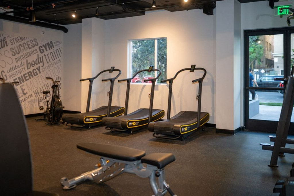 Cardio Equipment at Fedora Bliss LLC, Woodland Hills, California