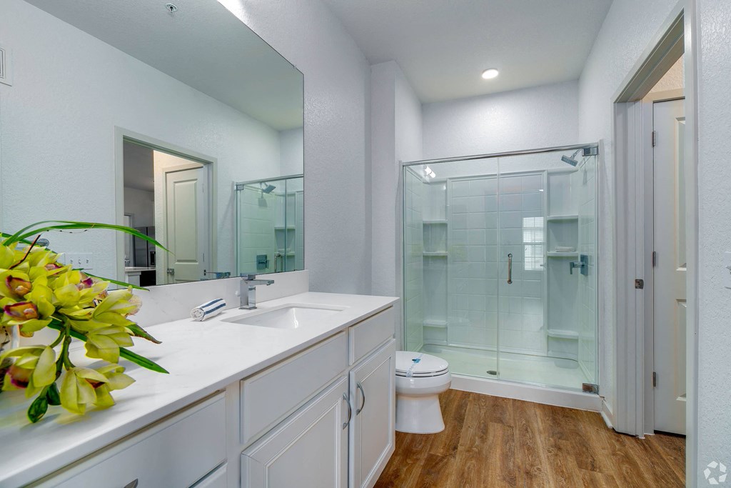 a bathroom with a sink and a shower and a toilet