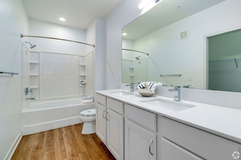 a bathroom with a sink and a toilet and a bath tub