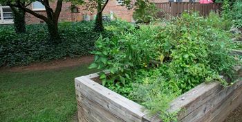 Community Garden at Villas on Briarcliff, Atlanta GA
