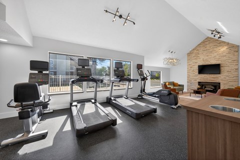 A home gym with treadmills, exercise bikes, and a television.
