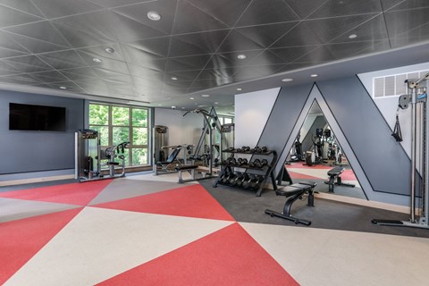 a gym with a red and white floor and a blue wall with weights and equipment