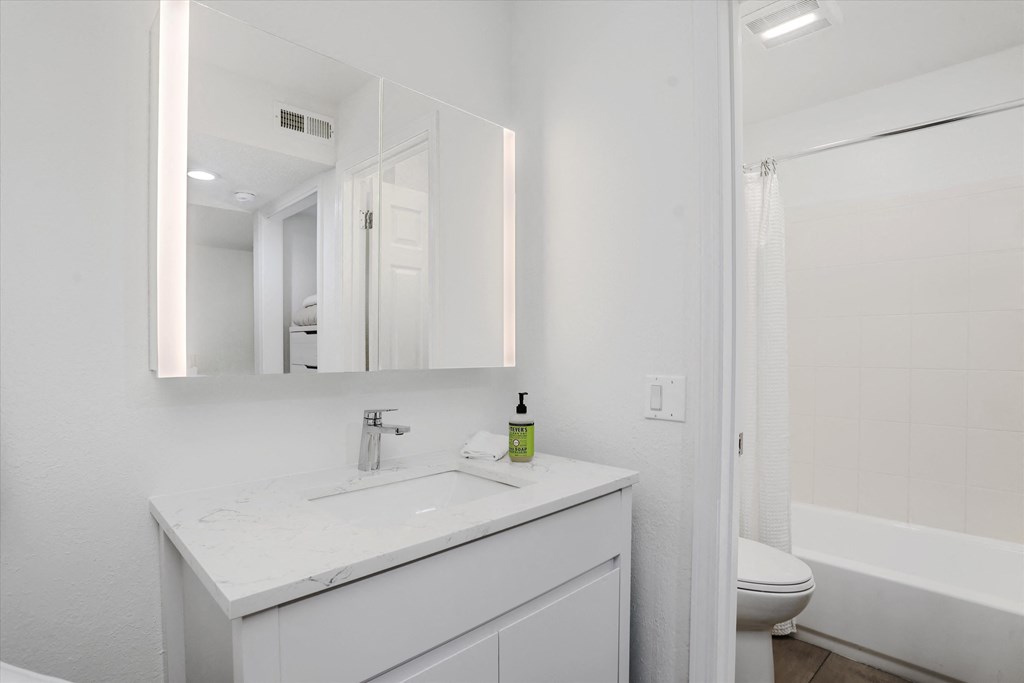 a bathroom with a sink and a toilet and a mirror