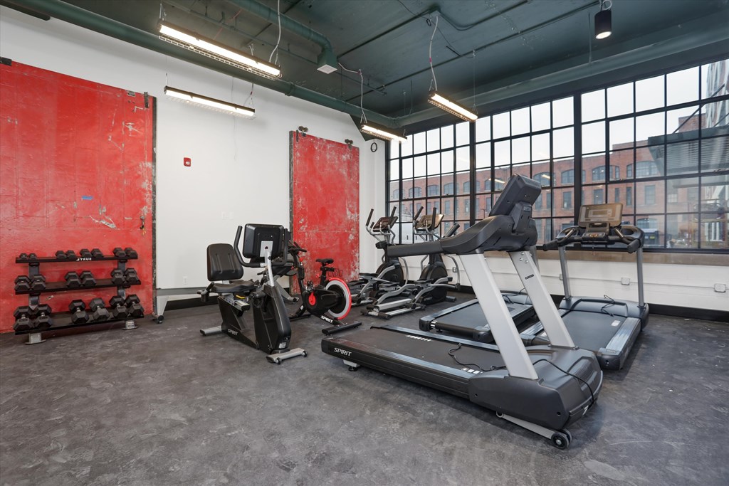 A gym with a treadmill, weights, and exercise equipment.