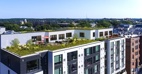 a green roof on a building in a city