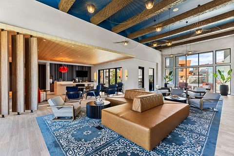 A living room with a blue rug and a brown couch.