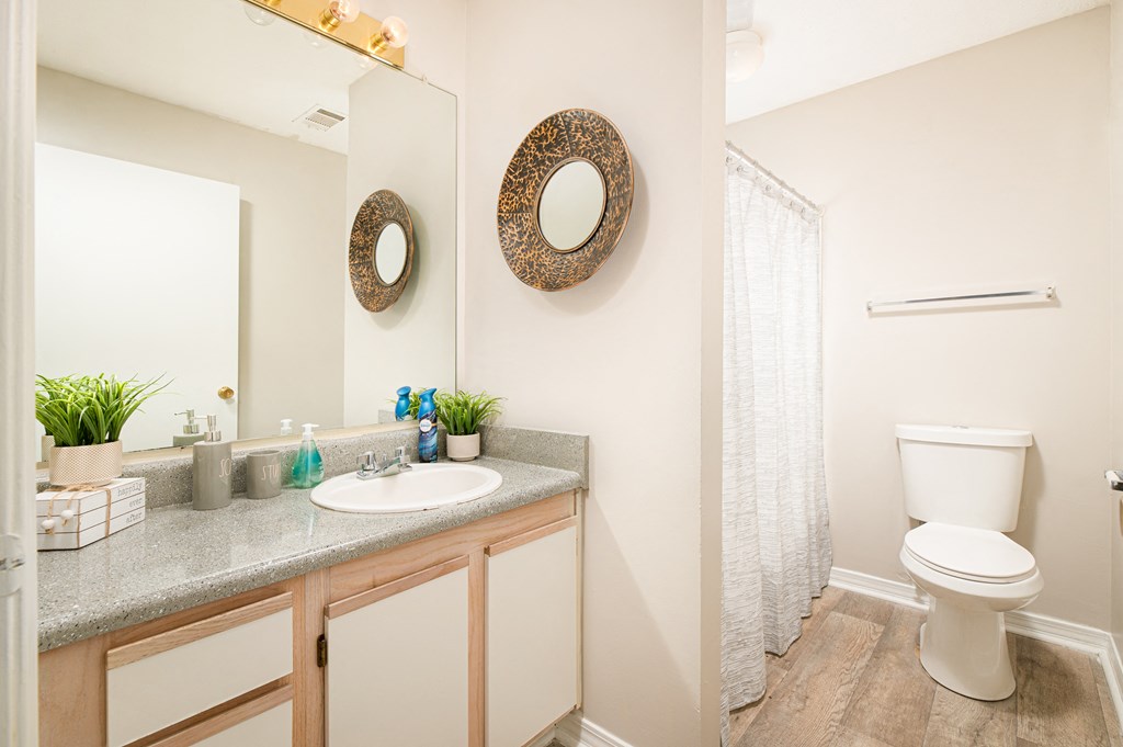 our apartments offer a bathroom with a shower