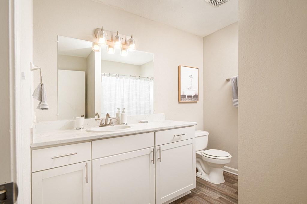 Bathroom at Arbor Park Apartments, Jackson, MS, 39209