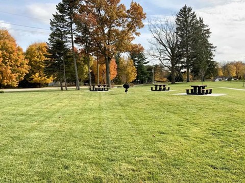 A park with a green lawn and trees with autumn leaves.