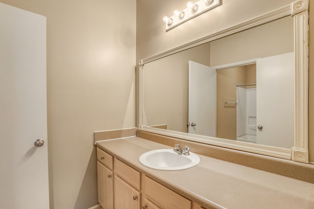 Bathroom area at Cameron Park Apartments, Mississippi, 39209