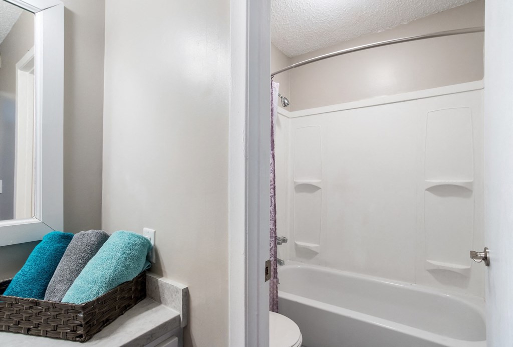 a bathroom with a tub and a sink and a mirror