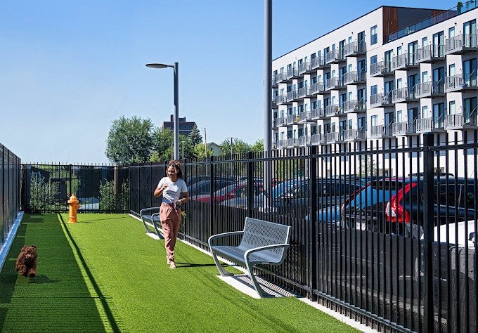 a woman walking her dog on a dog