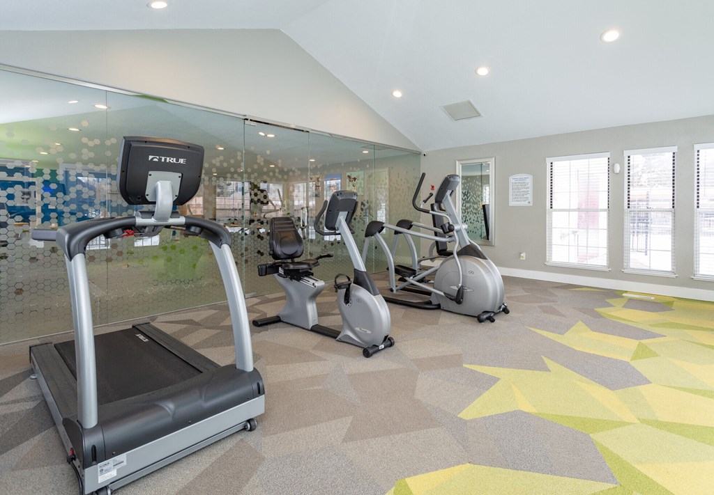 A gym with treadmills and elliptical machines.