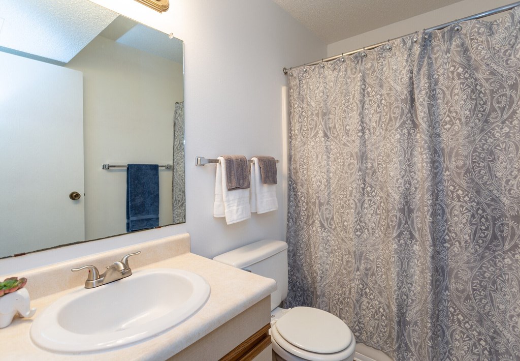 A bathroom with a white sink, toilet, and a shower curtain.