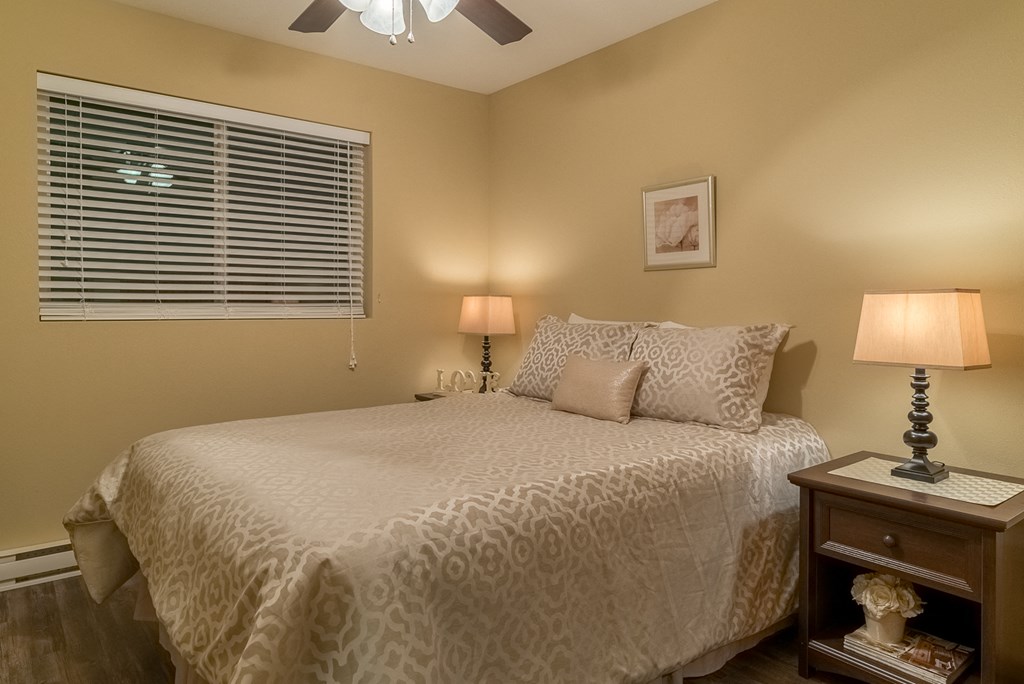 a bedroom with a large bed and a window