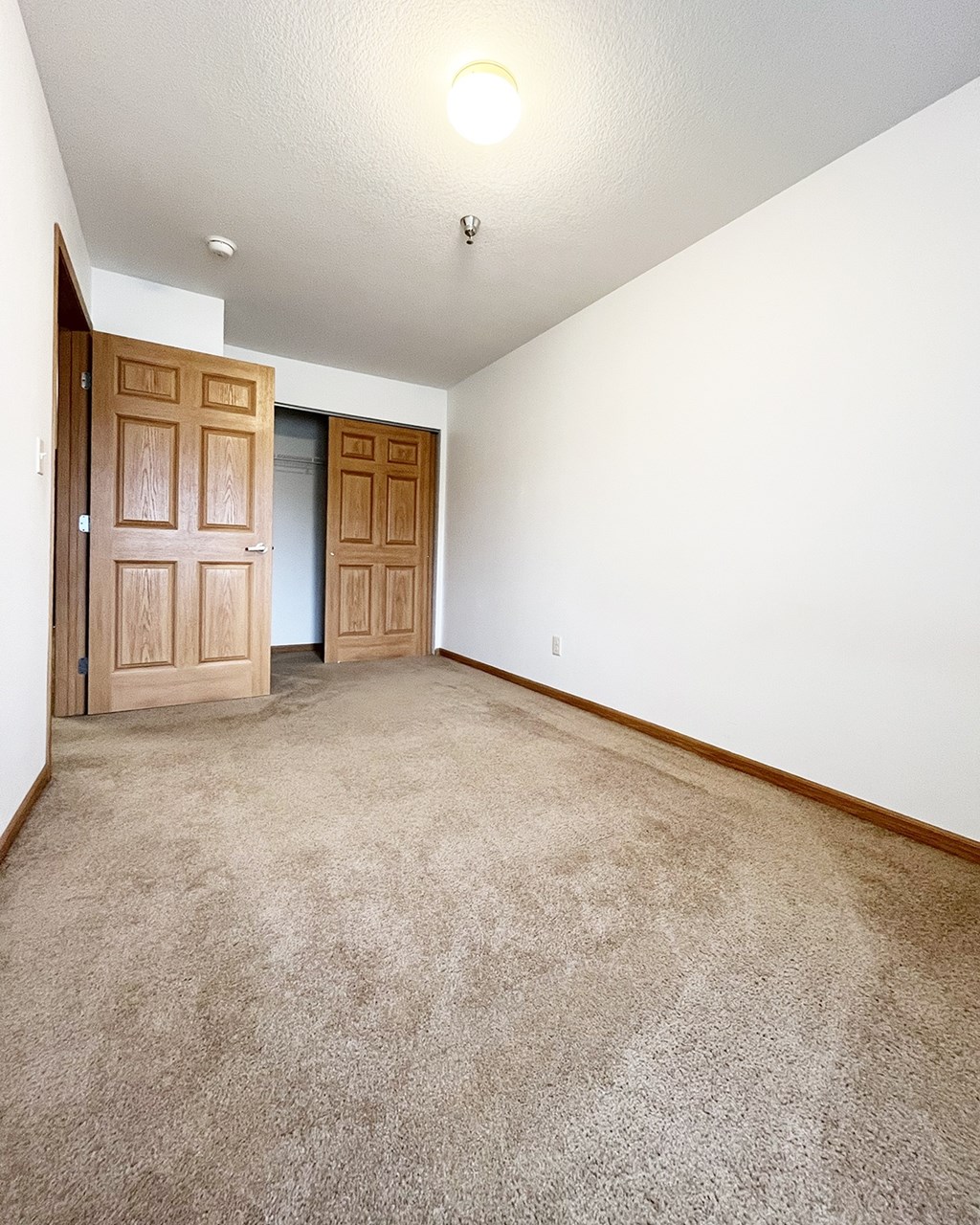 A room with a carpeted floor and two doors.