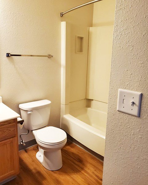 a bathroom with a toilet and a bath tub