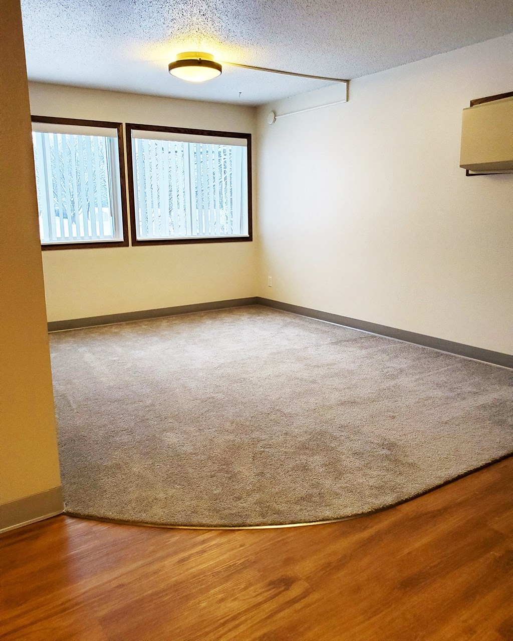 an empty living room with a rug and a window