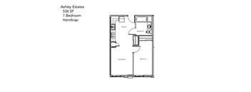 1 Bedroom Handicap