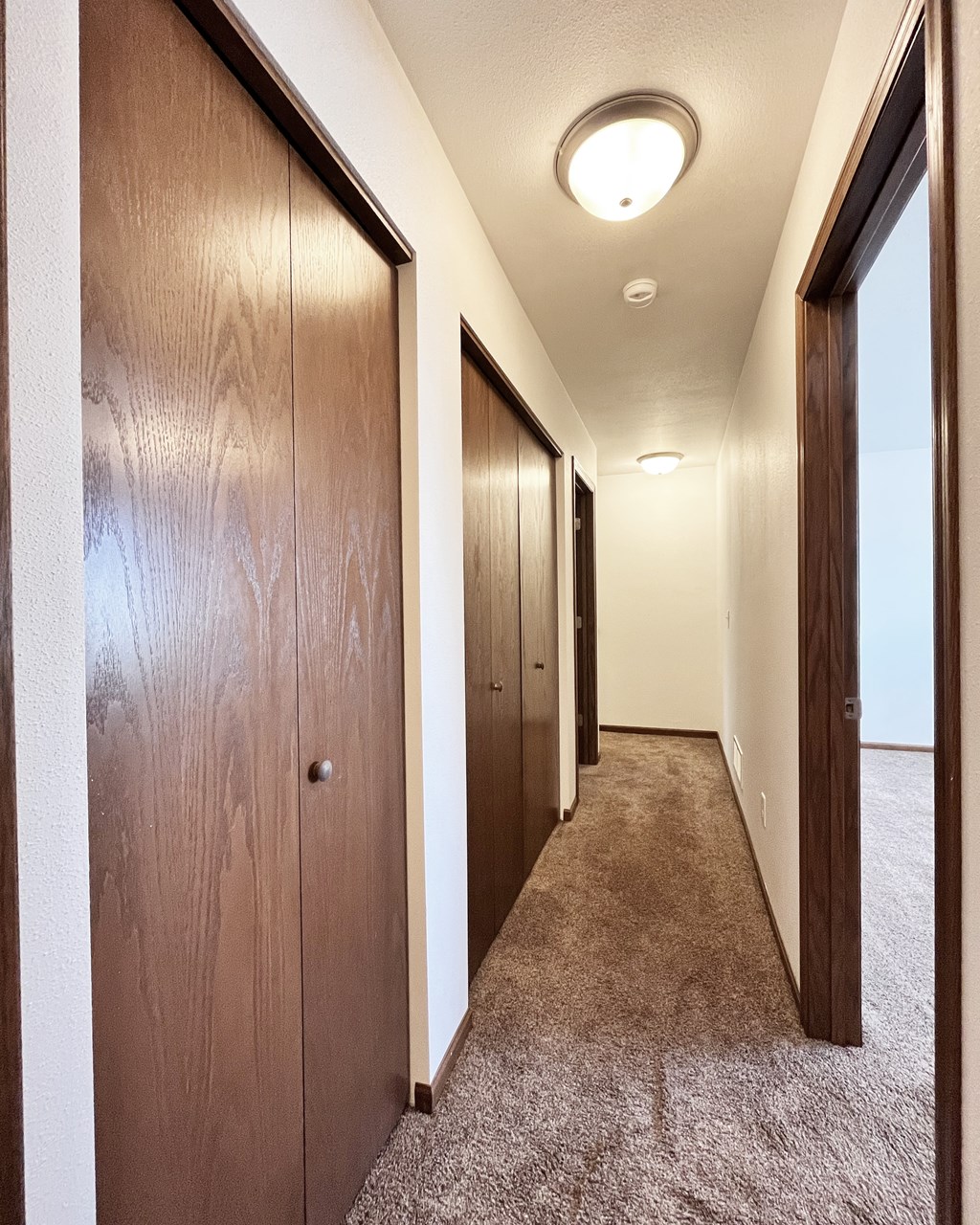 A long hallway with brown carpeting and wood paneling.
